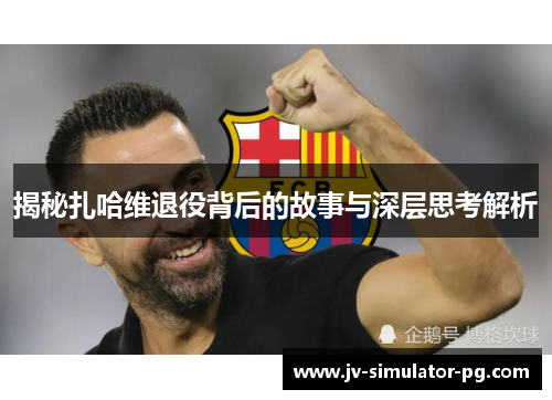 揭秘扎哈维退役背后的故事与深层思考解析