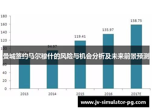 曼城签约马尔穆什的风险与机会分析及未来前景预测